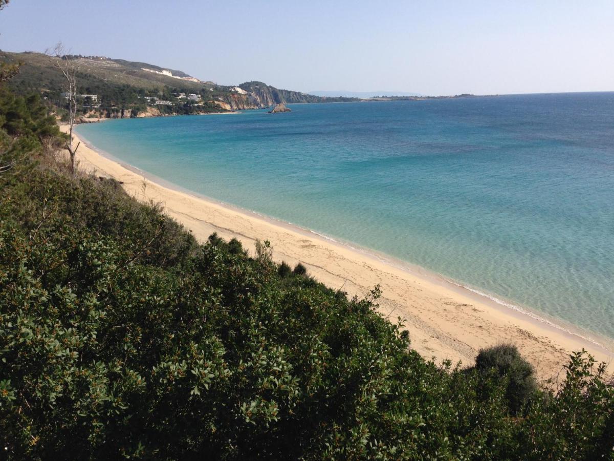 Villaparadiso Beach Front Villa Makris Gialos Argostolion Exterior foto